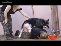 [ Pet Tube ] Slave amateur wife fastened to post and compulsory to take dog 10-Pounder